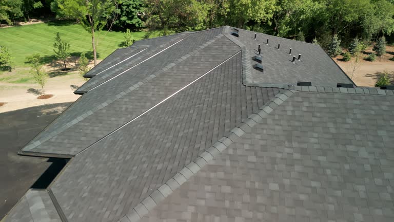 Best Solar Panel Roofing Installation  in Minonk, IL
