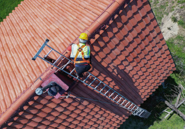 Best Roof Ventilation Installation  in Minonk, IL